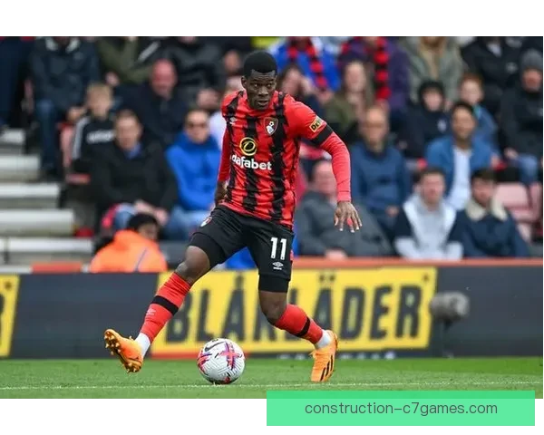 伯恩茅斯俱乐部夏窗引援与保级前景最新动态解析全面观察与展望深度