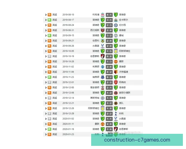 诺维奇今日最新动态全面解析球队转会表现与未来走势深度观察前景